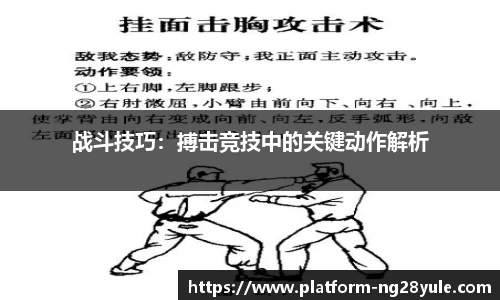 战斗技巧：搏击竞技中的关键动作解析