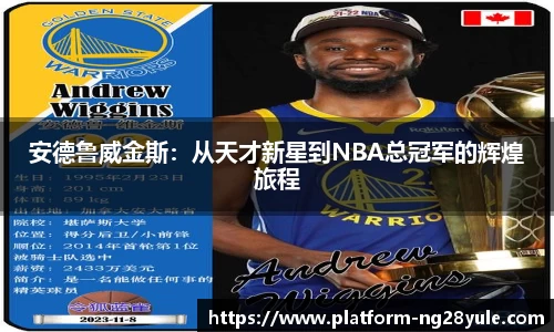 安德鲁威金斯：从天才新星到NBA总冠军的辉煌旅程